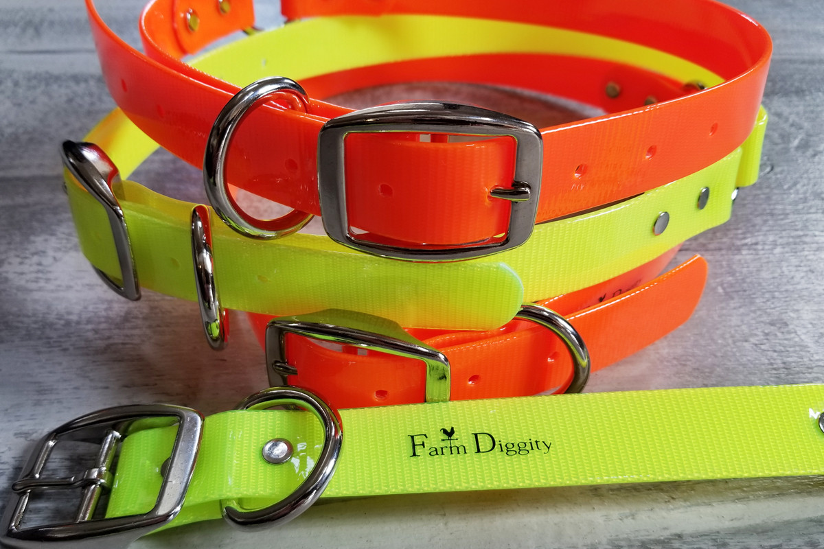 extra large guarding dog collar