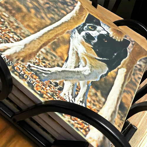  "Boarder Guard" / "Watching Ewe" Sandstone Coasters