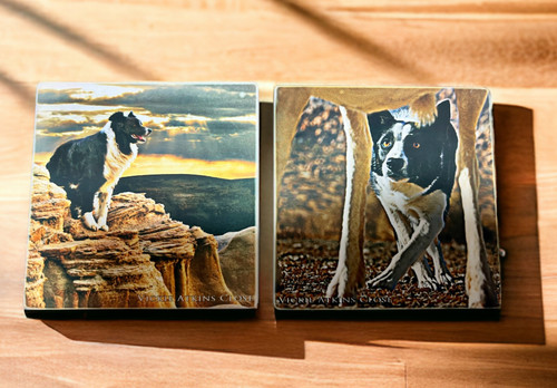  "Boarder Guard" / "Watching Ewe" Sandstone Coasters