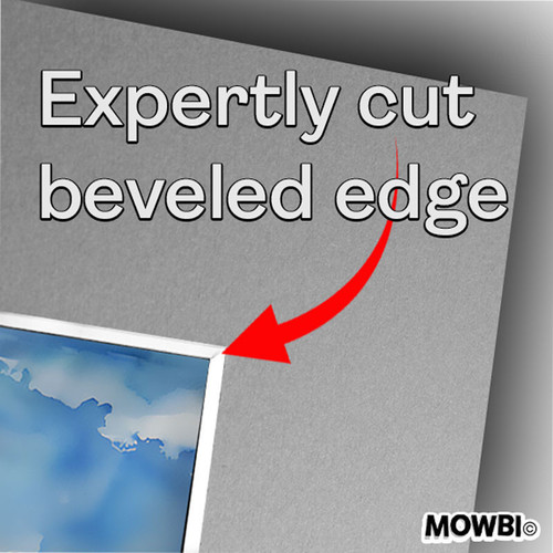 Modern Border Collie Portrait 8"x8" Art Print