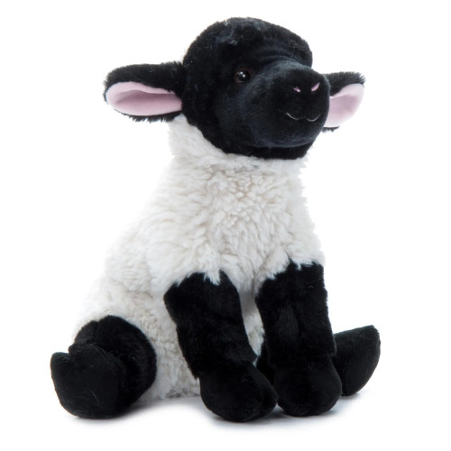 Shop - Dog & Animal Supplies - Sheep/ Chicken - Farm Diggity