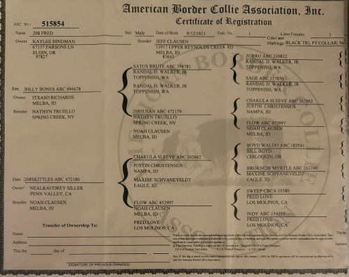 208 Fred / 4 yr male