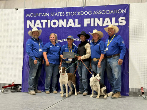 DH Hondu- 3 year old Red/white Male