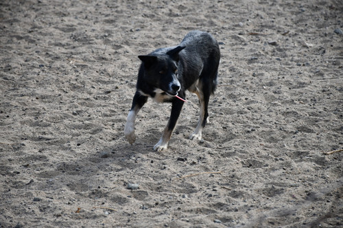 Started Female Available