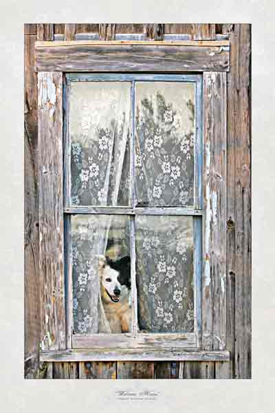 Welcome Home" Greeting Cards By Vickie Close