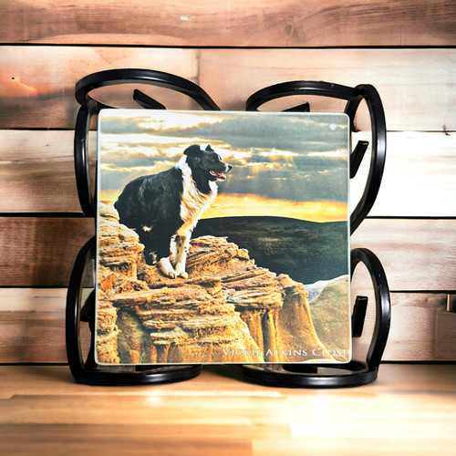 Border Guard /Sandstone Coasters