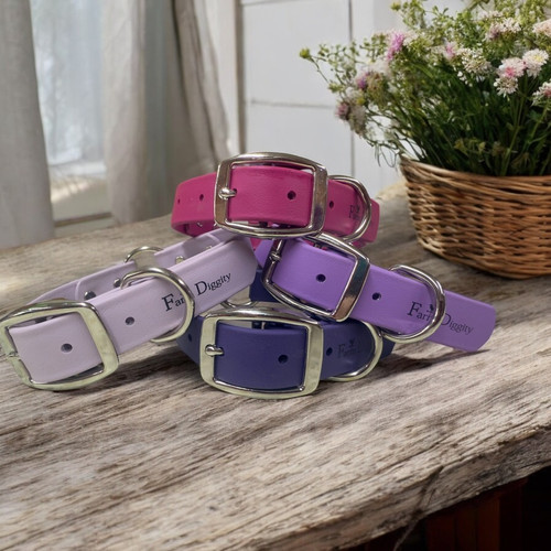 Farm Proof 1" Center Ring Collar Farm Proof 1" Center Ring Collar