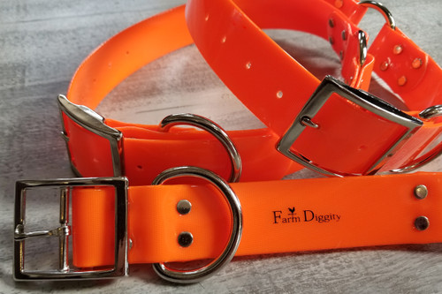 Extra large Dog Collars 1 1/2
