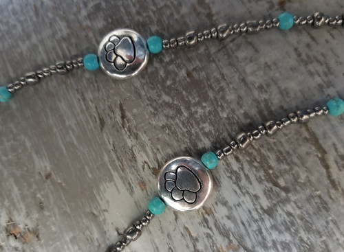  Silver Paws/ Turquoise 