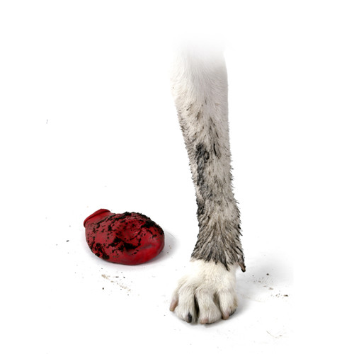 pawz medium
