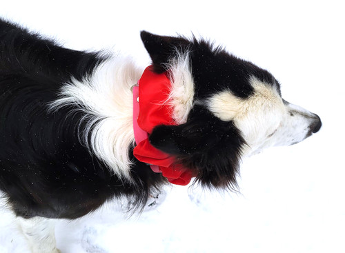 In Heat Sign / Scrunchie