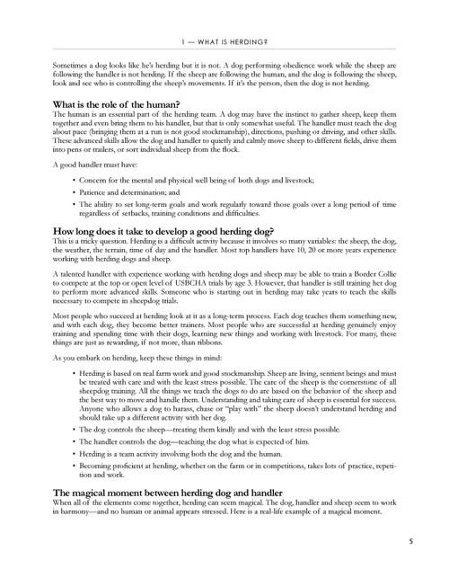 Think Like a Sheepdog Trainer: A Guide to Raising and Training a Herding Dog/ Paperback Think Like a Sheepdog Trainer: A Guide to Raising and Training a Herding Dog/ Paperback