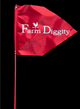 Flag Whips / 50"