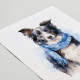 Border Collie With Scarf