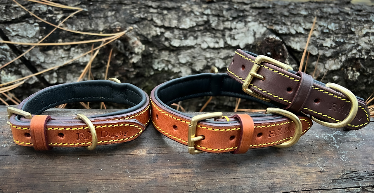Farm Diggity padded, leather dog collars