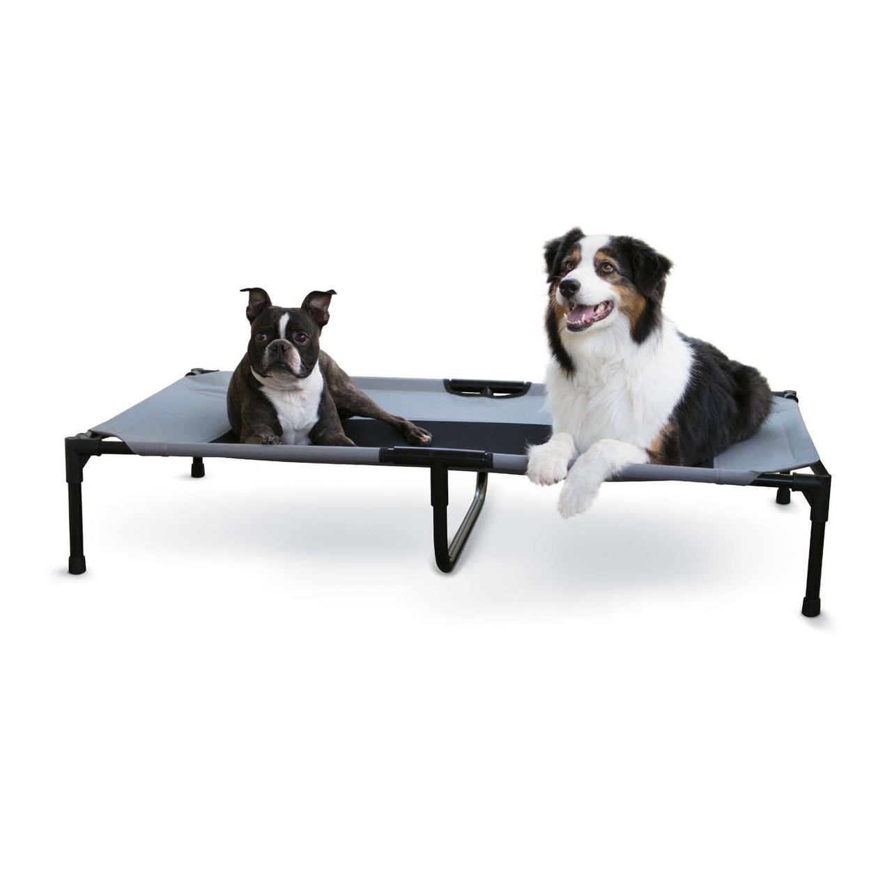 pet cot large