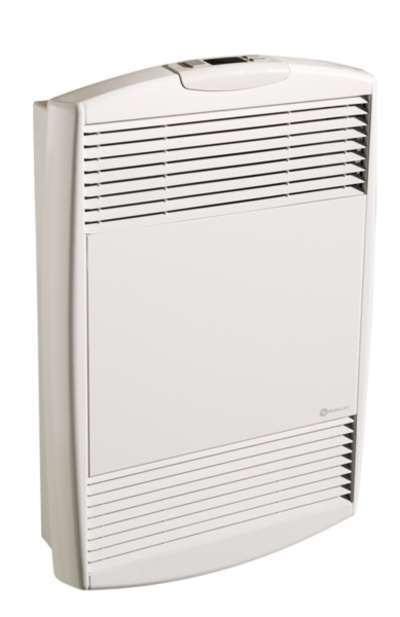 Convection and Fan Heater