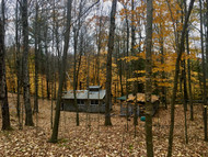 Fall Tubing Maintenance and Colors