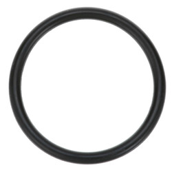 O-Ring Replaces Henny Penny 16902