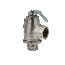 25 PSI 3/4 in Steam Safety Valve