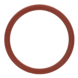 Check Valve O-Ring