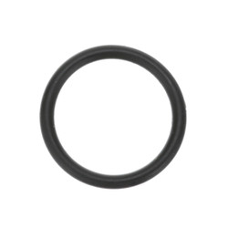 Large O-Ring Replaces Waring 18388