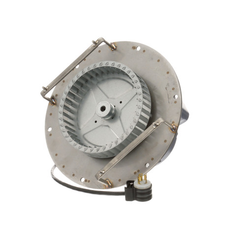 115V Convection Blower Motor Assembly