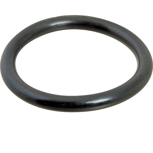 Plunger O-Ring