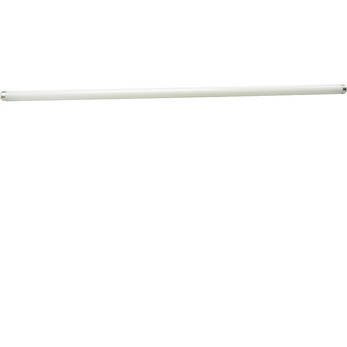 Lamp 115/208V
