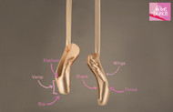 A Beginner's Guide to Pointe Shoes