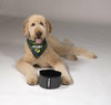Klymit Travel Super Fabric Dog Bowl - Grey/Black