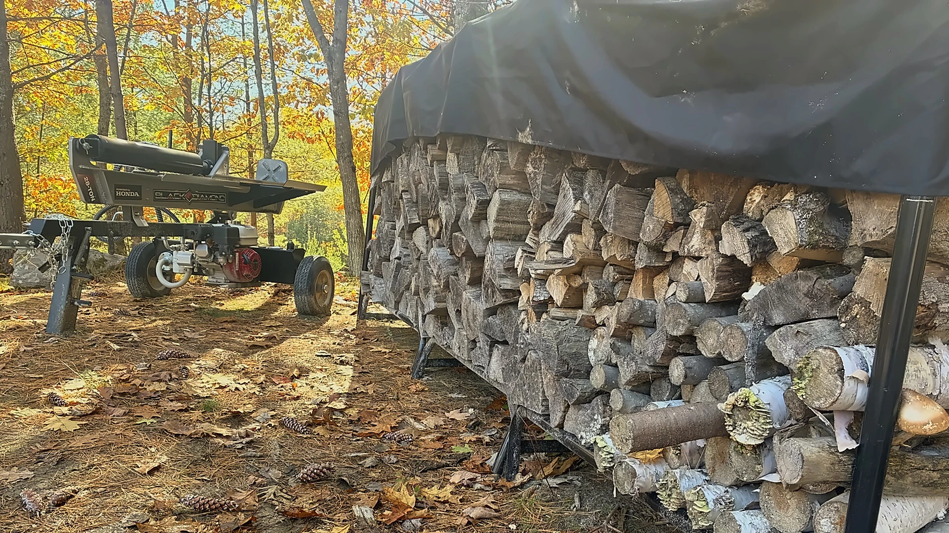 Split firewood stacked under a tarp beside a log splitter in a fall forest