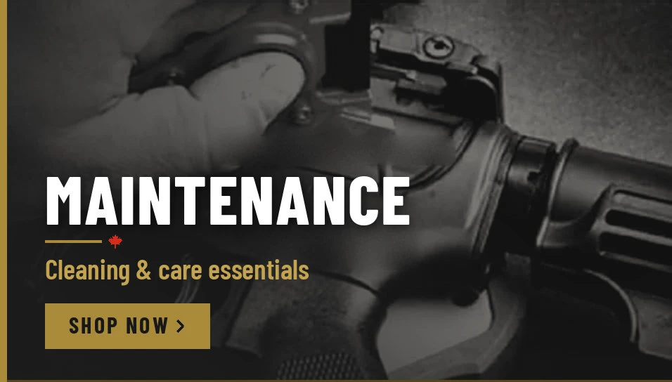 Gun maintenance and cleaning