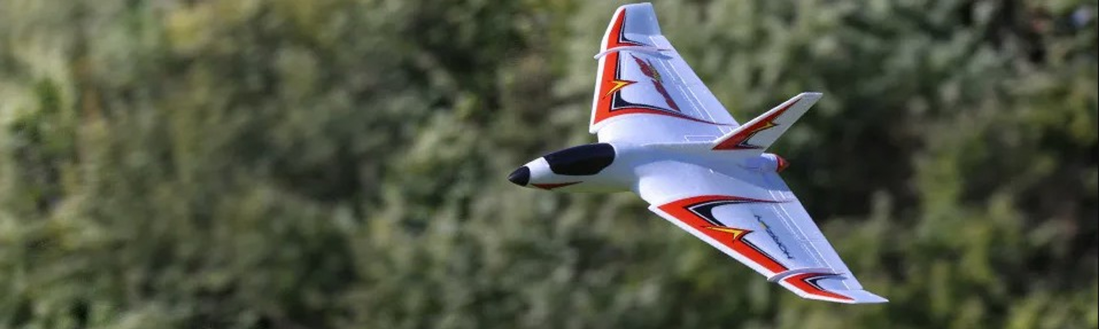 Delta Ray One RC Plane has arrived at Modelflight