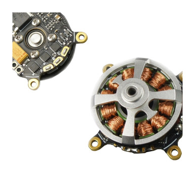 Dualsky XM2202RTR-24 1700kv Typhoon Series Brushless Motor with Integrated ESC