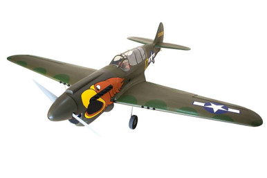 Seagull Models P40N Warhawk RC Plane, 160 Size ARF, SEA-250P