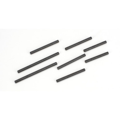 ECX Hinge Pin Set