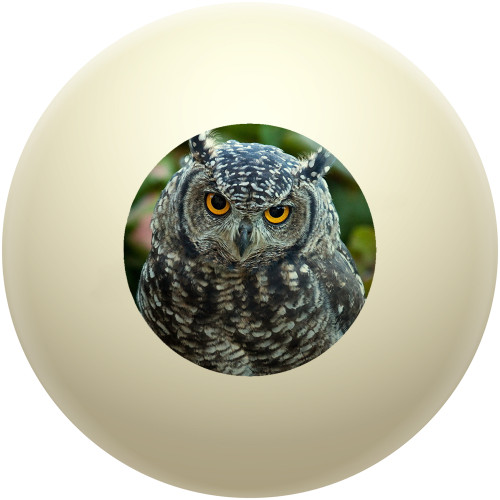 Wise Owl Cue Ball