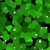 Green Cells 9' ArtScape Pool Table Felt