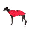 Whippet wearing the Harbour Slicker in Red