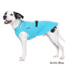 Small black and white dog wearing the Chilly Sweater in Arctic Blue.