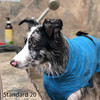 Border Collie wearing the Soaker Robe in a bath tub to help dry her out.