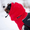 Small breed dog wearing Red Head Muff and matching Great White North
