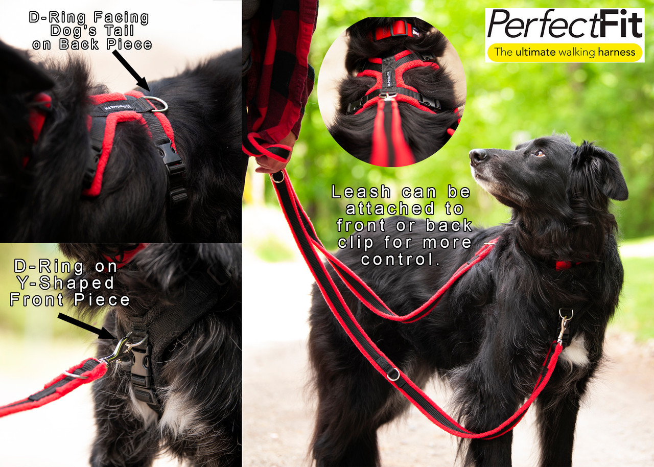 Perfect fit modular hot sale fleece harness reviews