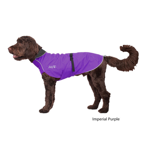 Portuguese Water Dog wearing the Harbour Slicker in Purple