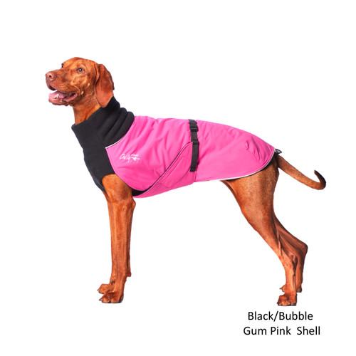 Vizsla wearing the Great White North coat in Bubble Gum Pink