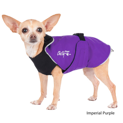 Chihuahua dog wearing the Chilly Dogs Alpine Blazer in Purple