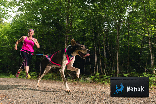Woman jogging with her dog in a  Nahak Pulling Harness