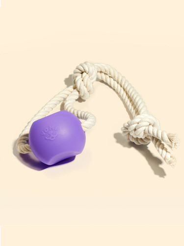 YOMP Ball Rope Tug Toy