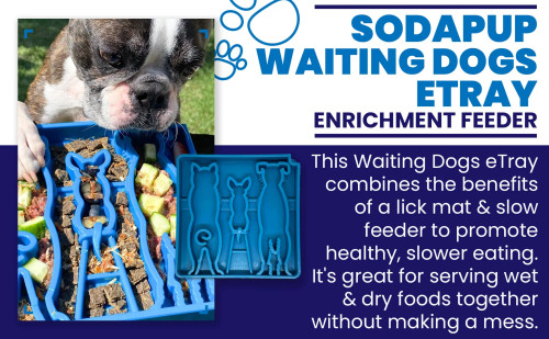 SodaPup ETray Waiting enrichment bowl.